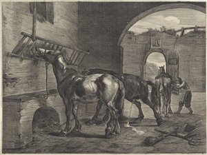 Kararlı by Cornelis Visscher (II)