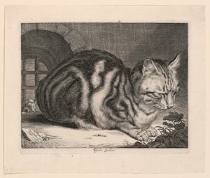 Büyük Kedi by Cornelis Visscher
