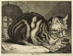 Büyük Kedi by Cornelis Visscher