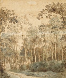 Wooded Peyzaj (kağıt üzerine kalem ve kahverengi mürekkep ve wc) by Hendrick Cornelisz. Vroom