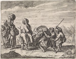 Anıran Eşek Tür Sahneleri (dizi adı)