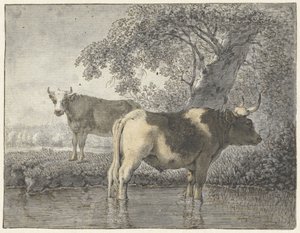 Su kenarında bir ağacın altında iki inek by Cornelis van Noorde