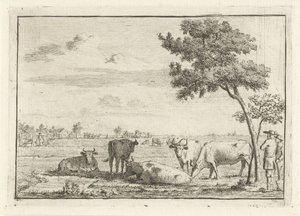 Bir çayırda beş inek by Cornelis van Noorde