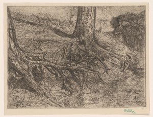 ağaç kökleri by Cornelis van Steenwijk