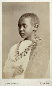 Prens Alamayu, İmparator II. Theodor