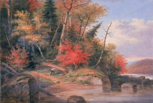 Bilinmeyen resim by Cornelius Krieghoff