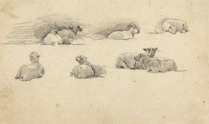 Koyun Çalışması by Cornelius Varley