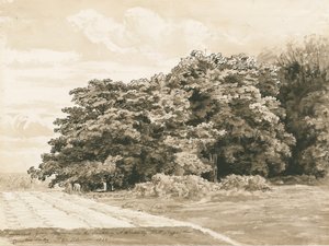 Wrottesley Hall - Çalılık: sepya çizimi, 1820 by Cornelius Varley