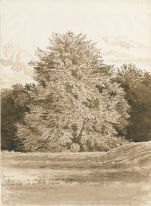 Wrottesley Hall - Çalılık: sepya çizimi, 1820 by Cornelius Varley