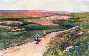 Nasıra Yolundan Cana