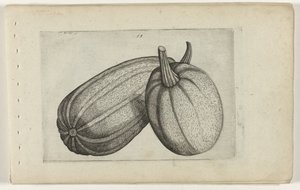 twee meloenen Zambakları bilin (dizi adı) by Crispijn van de Passe (I) (attributed to)