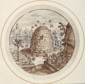 Arı kovanı, 17. yüzyılın başları (kahverengi ve gri yıkamalara sahip kalem ve kahverengi mürekkep)