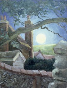 ಹಾರ್ವೆಸ್ಟ್ ಮೂನ್, 1996 ಟರ್ಕ್