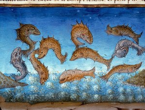 Dünyanın sonu: balık yukarıda yüzecek (c.147r). 1476 by Cristoforo De Predis