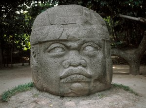 devasa kafa