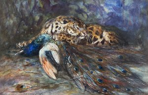 Tavuskuşu ile Jaguar