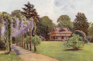 Japon Evi ve Wistaria Pergola, Bagshot Park (renkli taş)