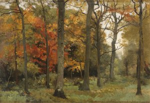 Sonbahar yaprakları by Cyrus Johnson