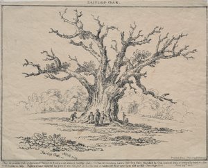 Fairlop Meşe, 1811. by D. H. Redman