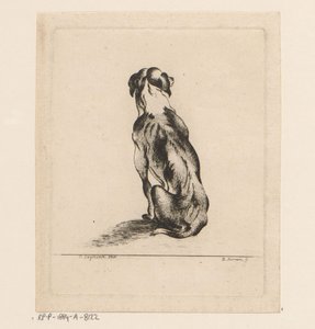 Arkadan görülen oturan köpek by D. Merrem