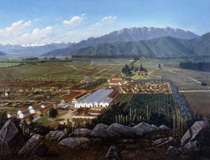 Errazuriz-Panquehue Bağı, Şili, 1896 by Daniel Escobar