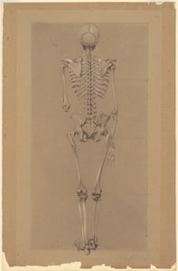Bir İskeletin Arkadan Görünümü by Daniel Huntington