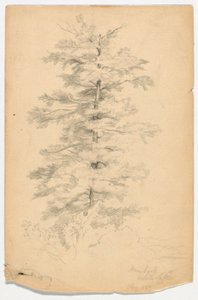 White Lake yakınlarındaki Hemlock Çalışması by Daniel Huntington