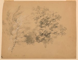 Ağaçlar, Huş ve Meşe Çalışması by Daniel Huntington