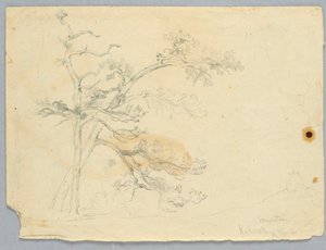 İki Çamın İncelenmesi, Catskill Dağları by Daniel Huntington