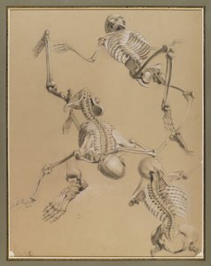 İskeletlerin incelenmesi, 1848 (kağıt üzerinde tebeşir)