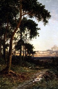 Orman Yolu