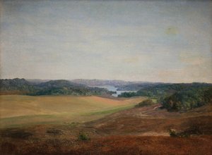 Silkeborg, Jutland yakınlarındaki manzara