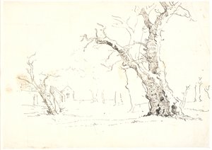 Büyük meşe ağaçları ile manzara, t.v. bazı evler by Dankvart Dreyer