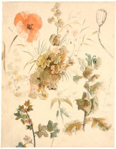 Farklı çiçek çalışmaları, i.a. haşhaş by Dankvart Dreyer