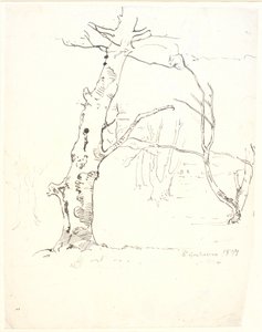 Ağaç gövdeleri by Dankvart Dreyer