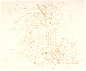 Ağaç çalışmaları by Dankvart Dreyer