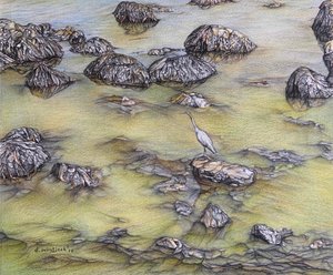  by Darrell Windjack
