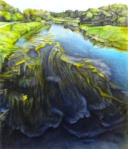  by Darrell Windjack