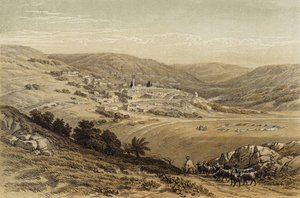 Nasıra'nın Genel Görünümü (renkli taş) by David (after) Roberts