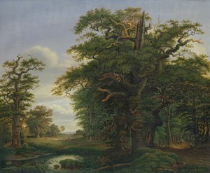 Meşe Ağacı, 1847 by David Christopher Mettlerkamp