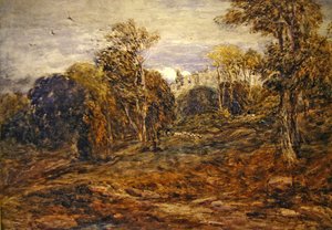 Barden Kulesi by David Cox