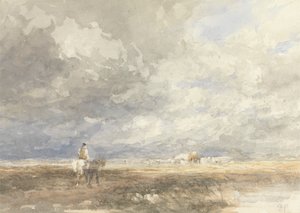 Hayfield'a gitmek by David Cox