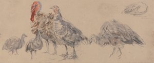 Türkiye Çalışması by David Cox