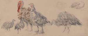  by David Cox