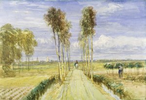 The Poplar Avenue (kalem üzerine sulu boya ve kağıt üzerine siyah tebeşir) by David Cox