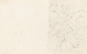 Ağaçlar by David Cox