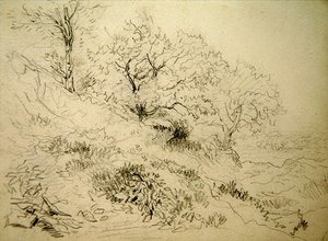 Galler Manzarası (kağıt üzerinde tebeşir) by David Cox