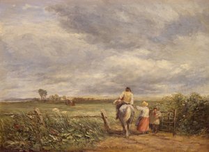 Hayfield