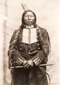 karga kral by David Frances Barry