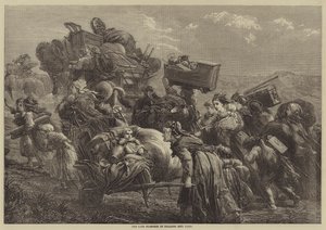 Köylülerin Geç Stampede